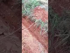 0.6 Ton 0,8 Ton Mini Crawler Excavator Micro Digger kecil